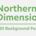 NDI Background Paper logo