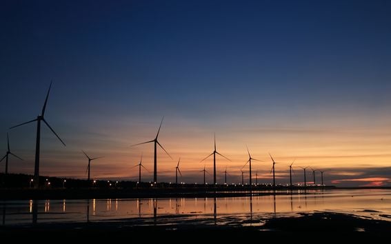 Wind farm by the water at sunset.
