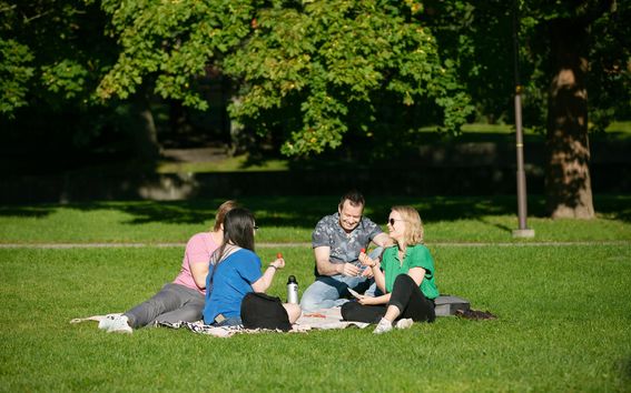 Students sitting in a park having a picnic