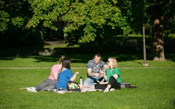ITP Students enjoying a summer picnic