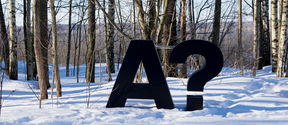 Aalto-yliopiston musta logo valkoisella hangella taustanaan lumettomia puita