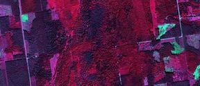 A satellite picture of the forest, with pink, violet and green colours