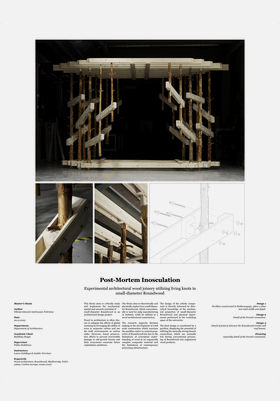 Thesis poster showcasing wood architecture