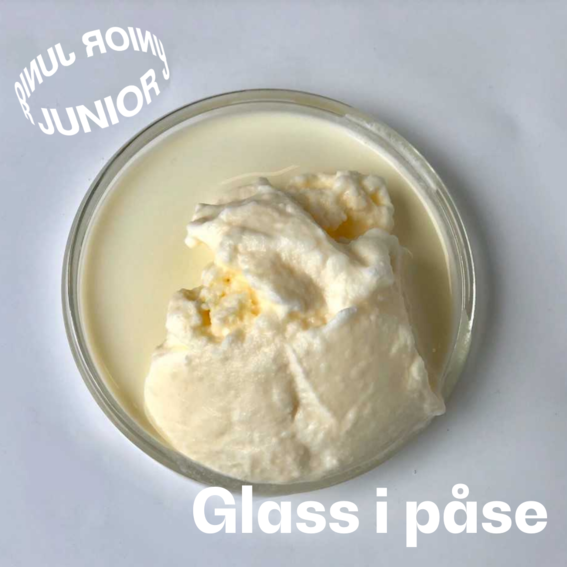 Aalto Junior online instruction for homemade ice cream