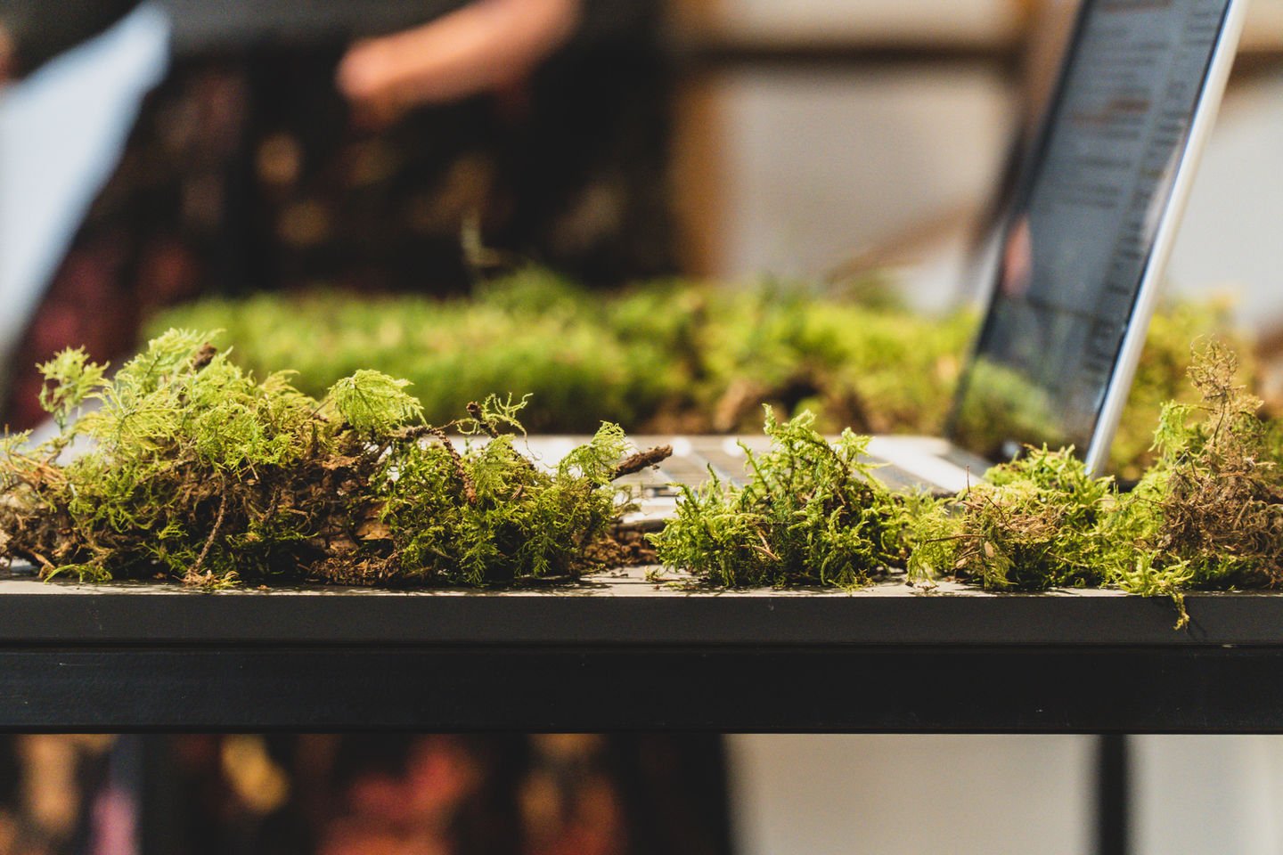 Green moss is placed around a macbook as part of an exhibition display