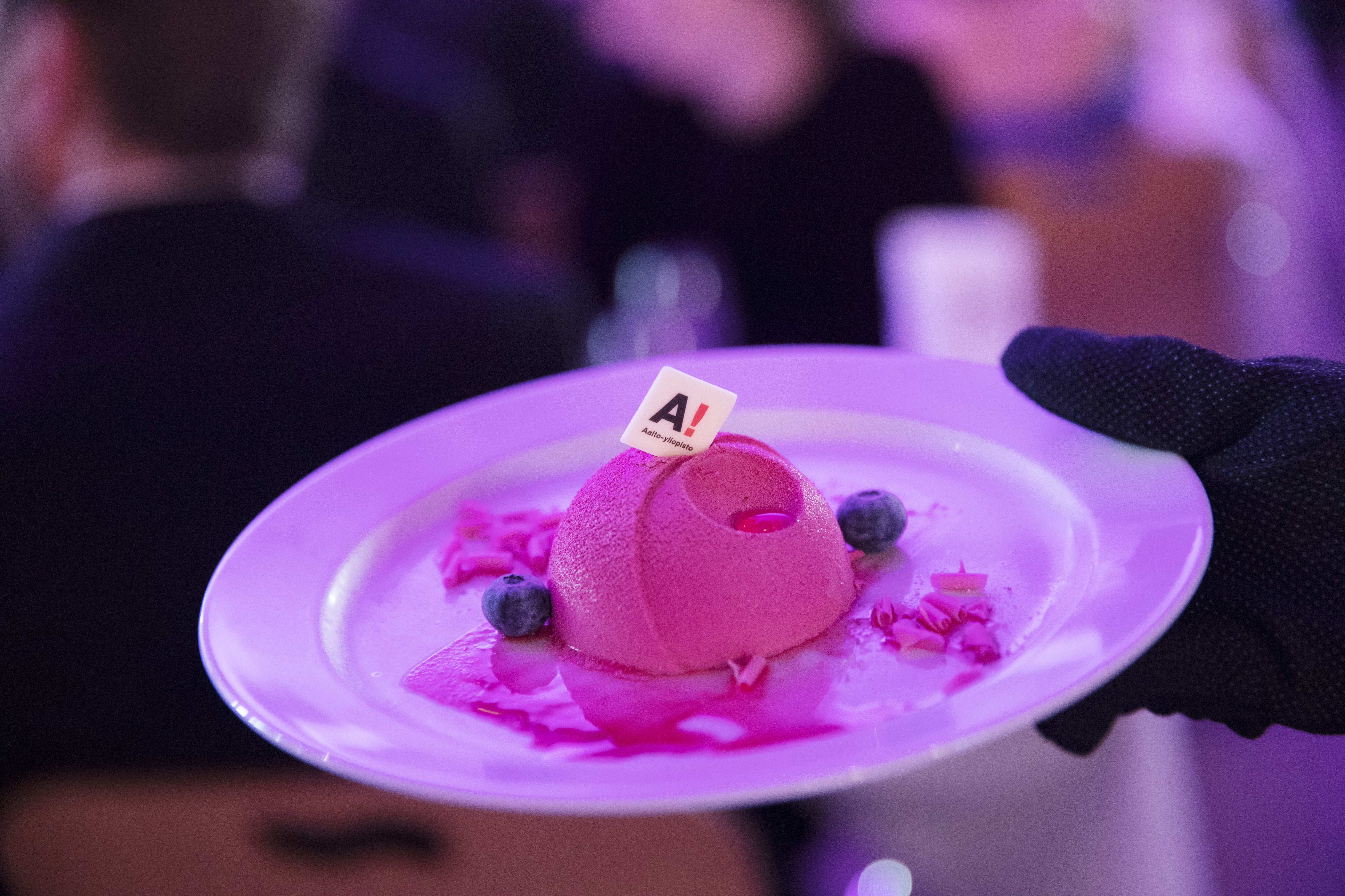 Aalto cake dessert