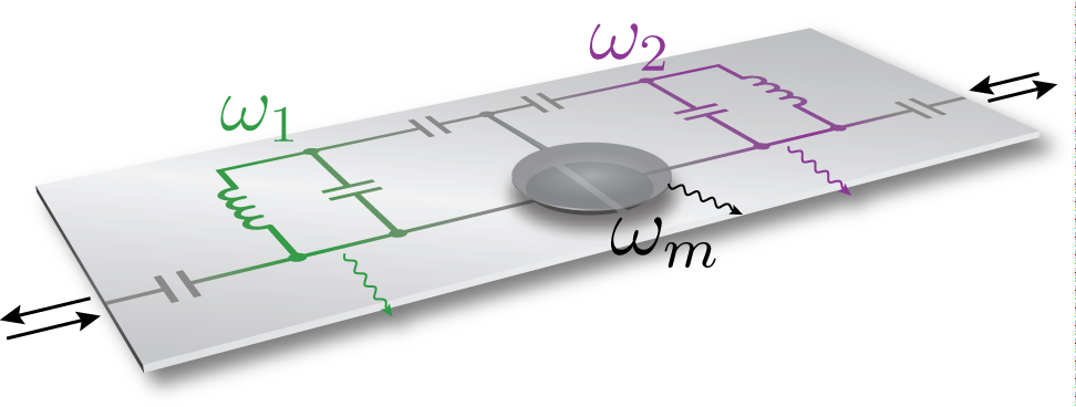 Two microwave LC cavities coupled to a single mechanical drumhead resonator.