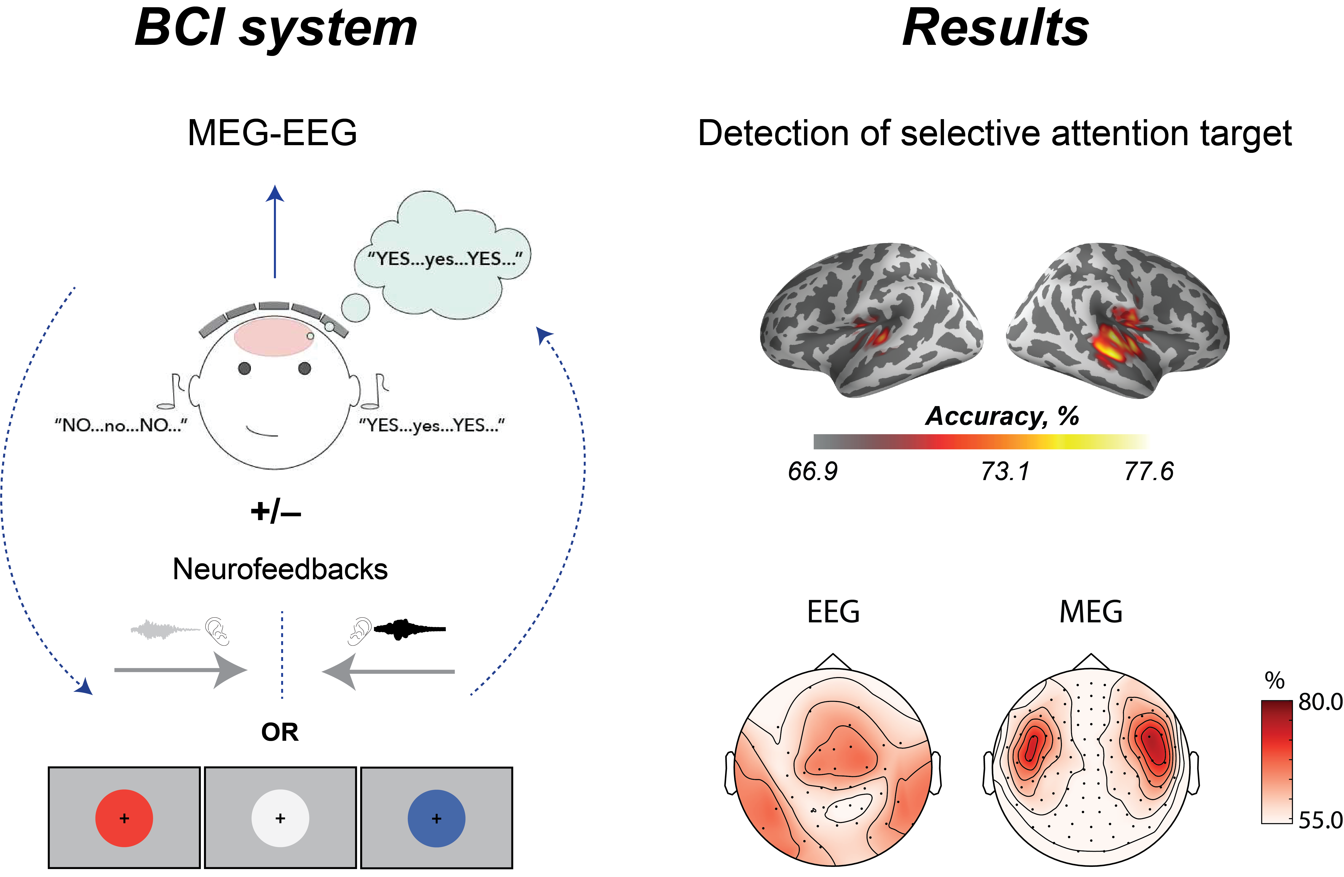 Schematic description of selective attention-based BCI.