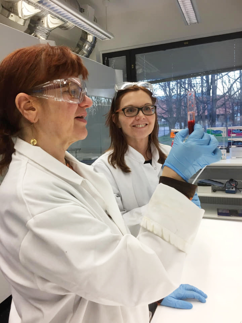 Minna Lindblad-Hatamo ja Tarja Paatero Porolahden koulusta ihastelevat mansikan dna:n erottumista Aalto Juniorin laboratoriossa. Kuva Marja Heikkinen.