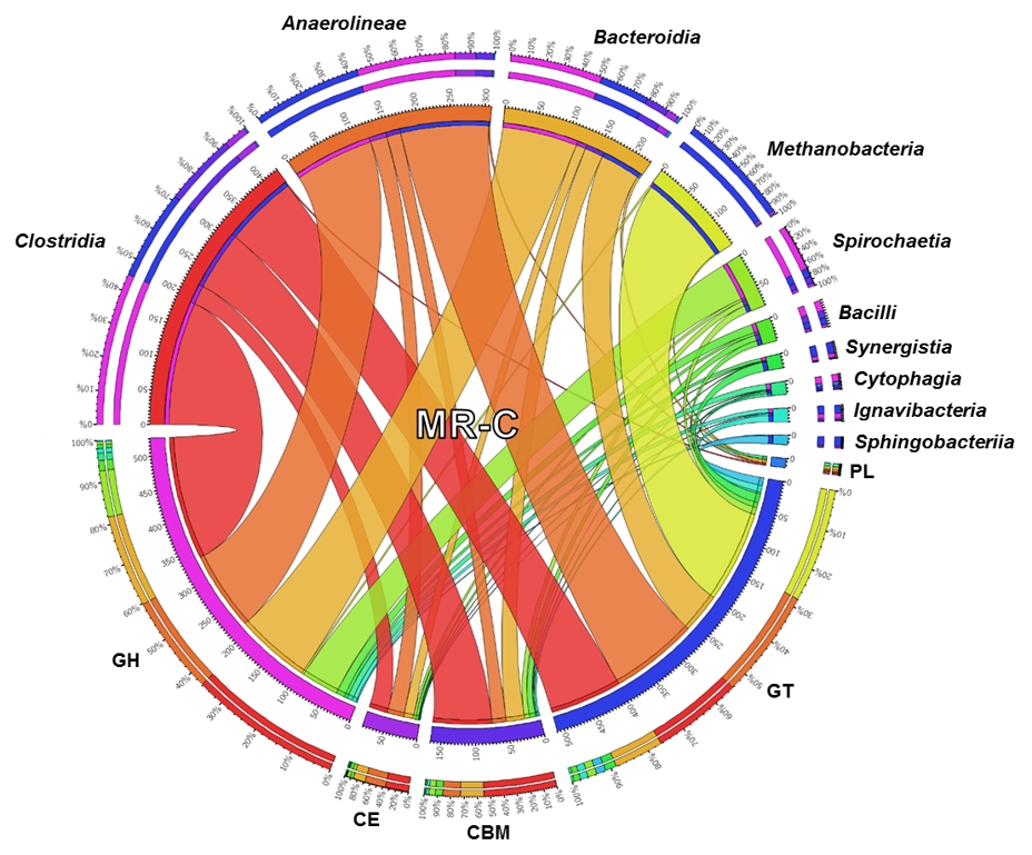 CHEM/BIO/Protein technology group_bioinformatics research