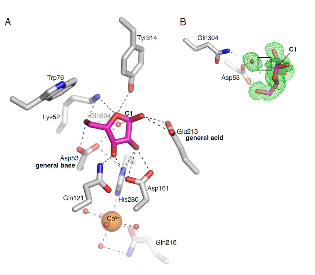 CHEM/BIO/Protein technology group_enzyme research 1