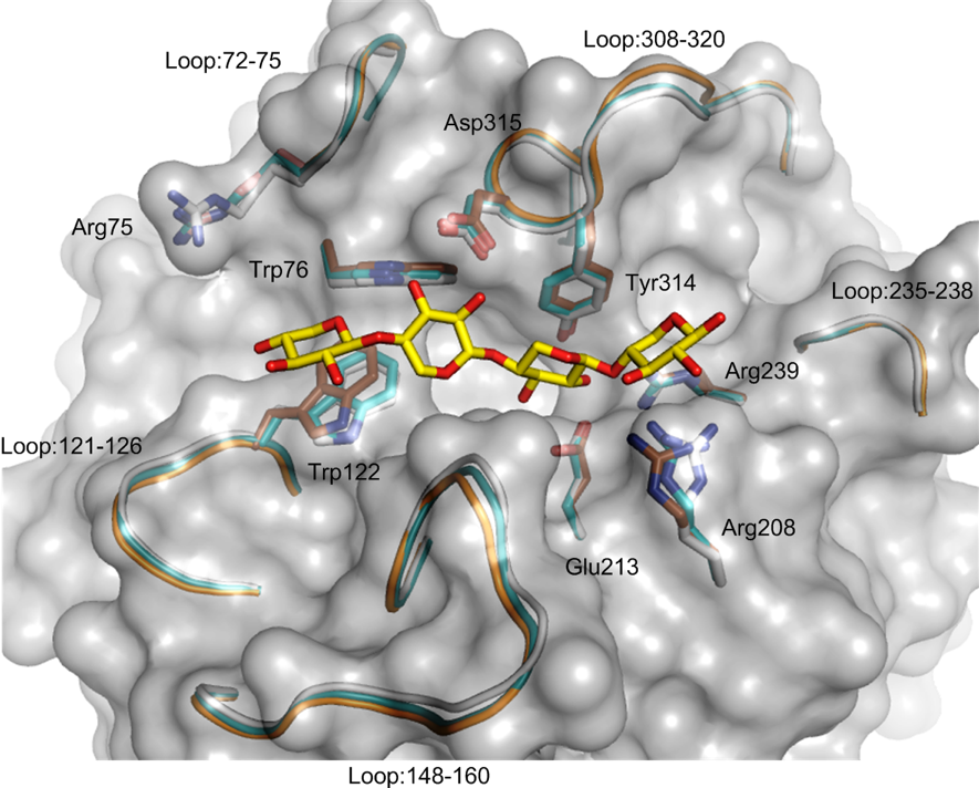 CHEM/BIO/Protein technology group_enzyme research 2