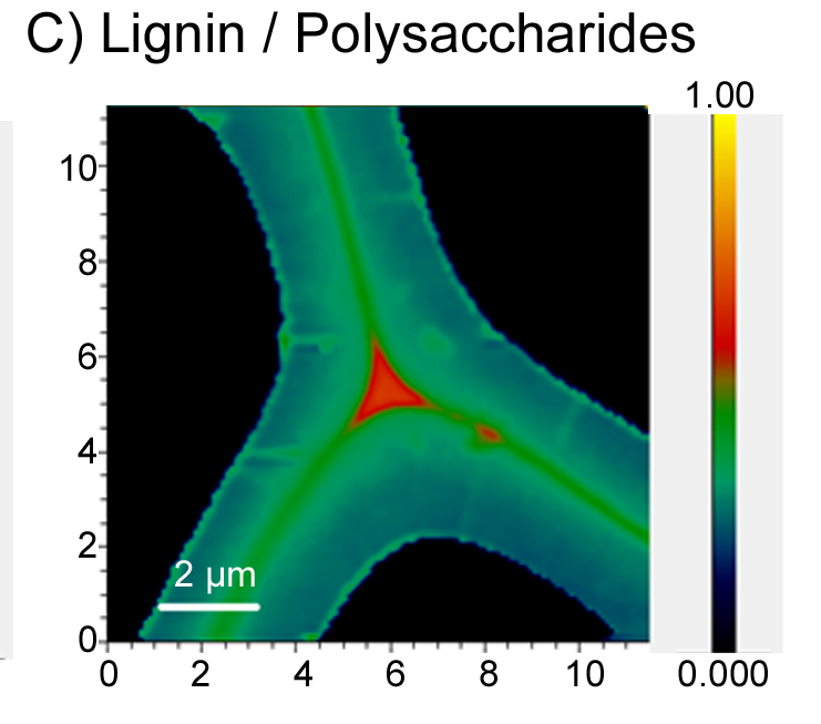 CHEM/BIO2/Protein technology group_Time of Flight Secondary Mass Spectrometry