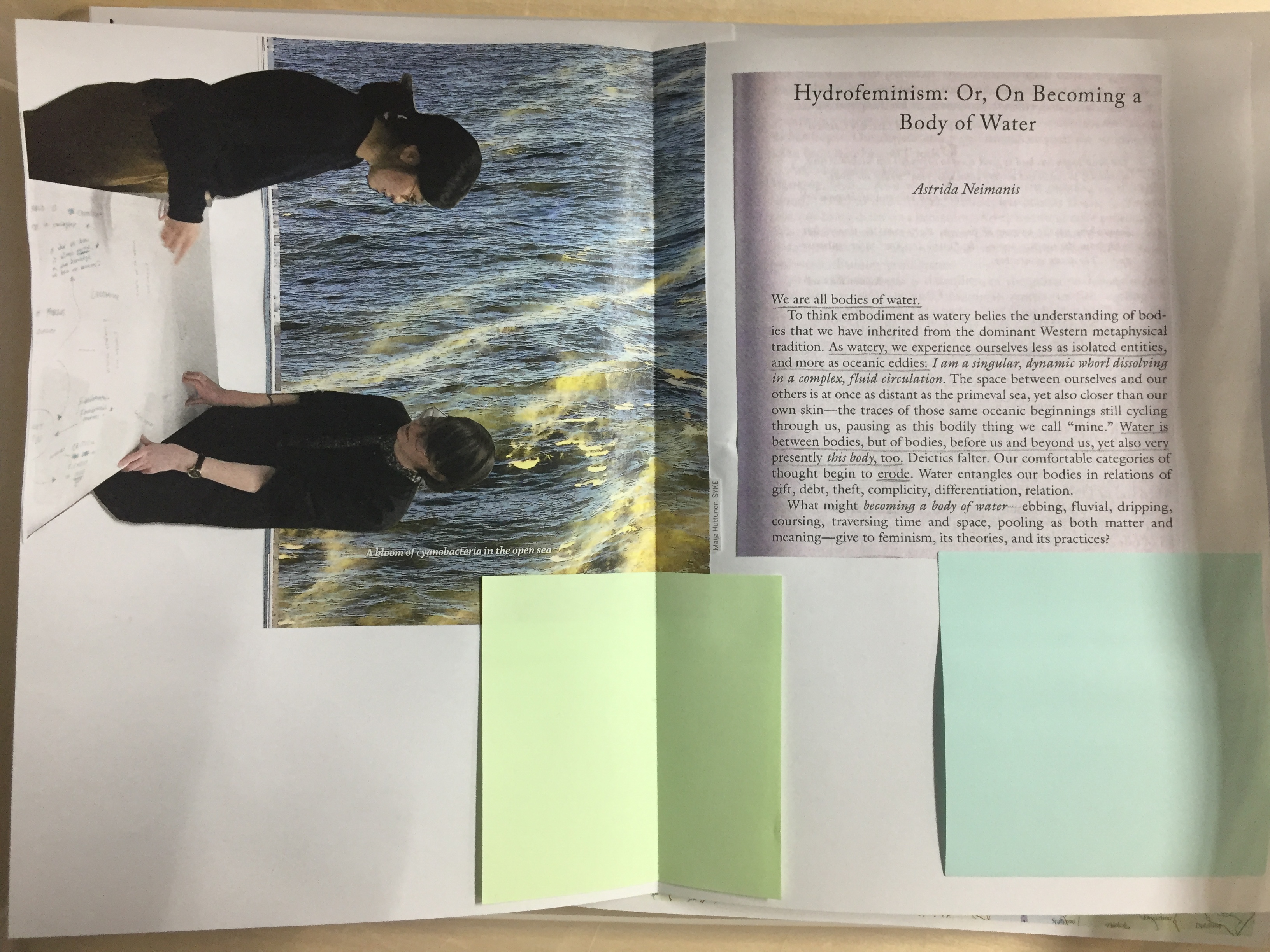 A collage featuring the practitioners working together and an excerpt of a text on hydrofeminism