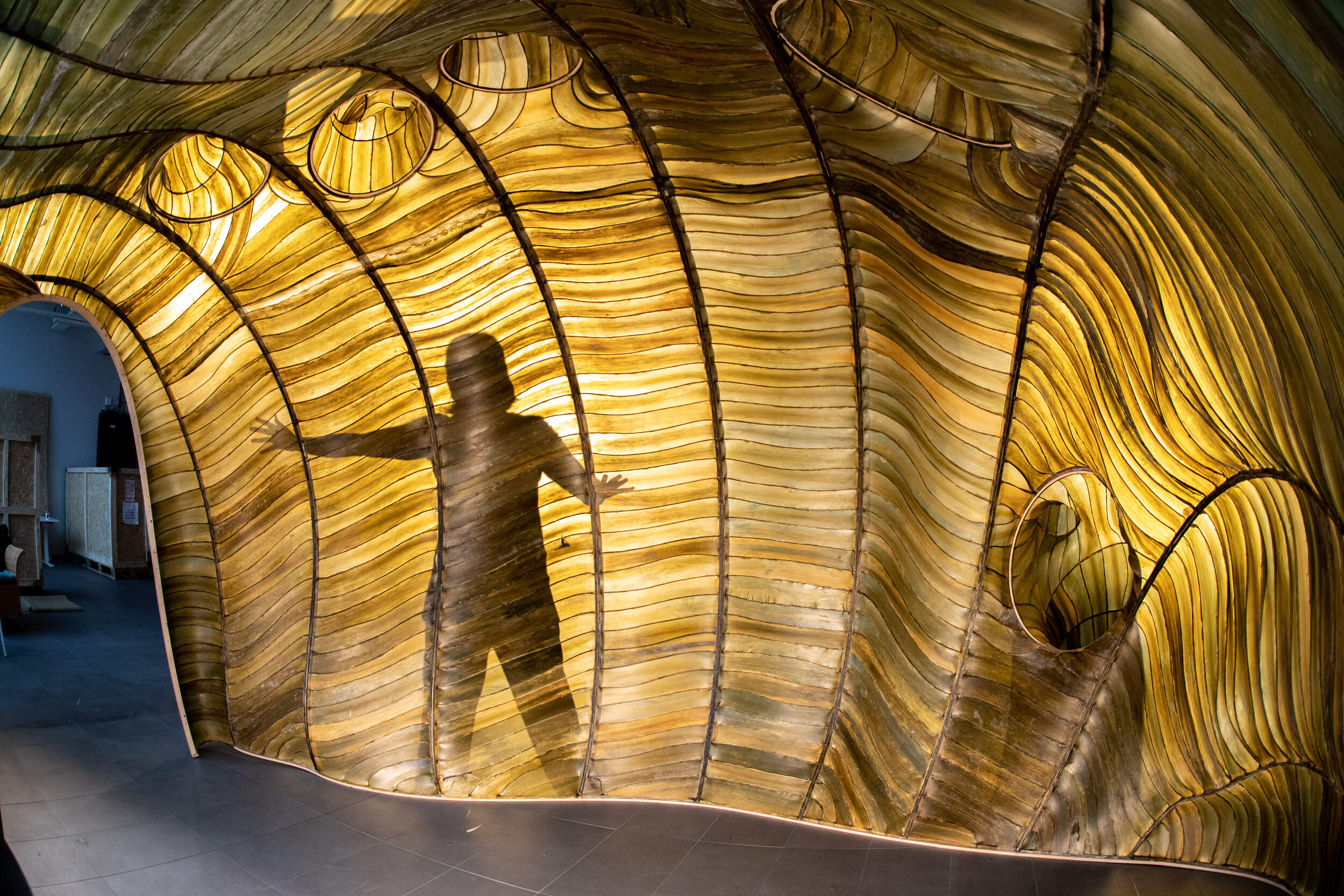 Seaweed pavilion Hidaka Ohmu is Julia Lohmann's installation made of seaweed.