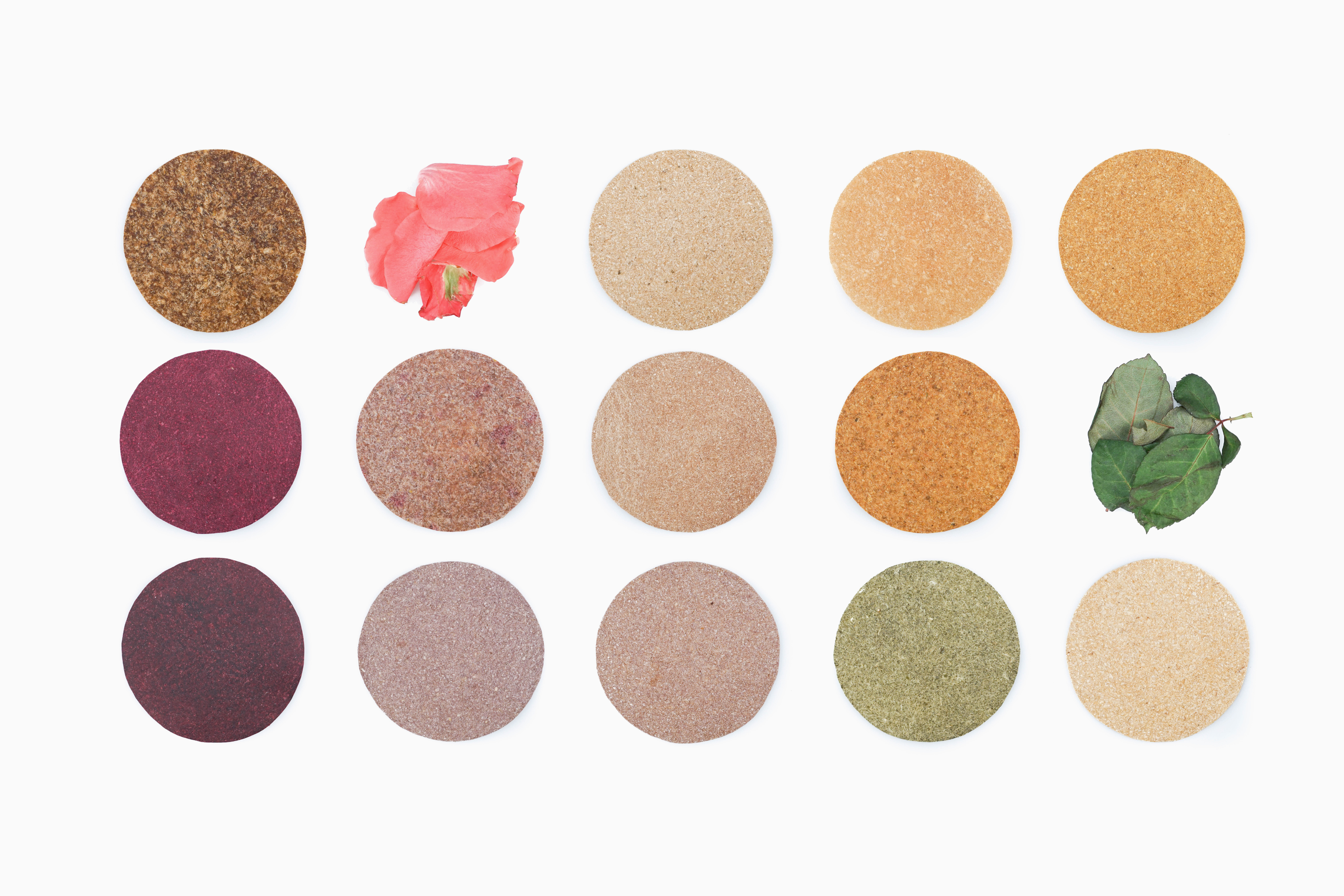 Different flower colours