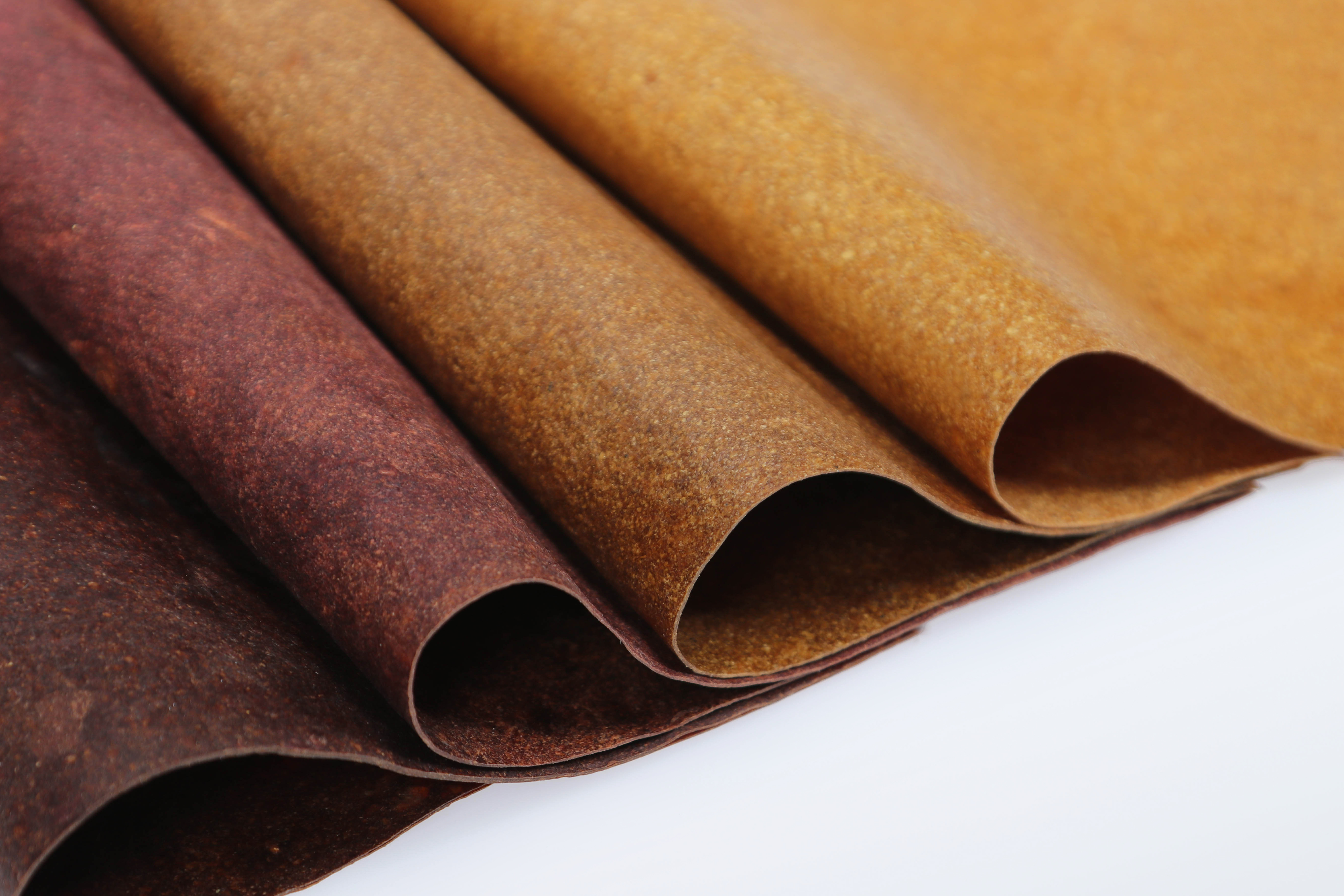 bent samples of flower-based bio material