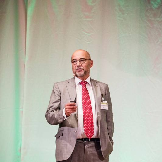 Eero Kasanen, Aallon Kauppakorkeakoulun professori