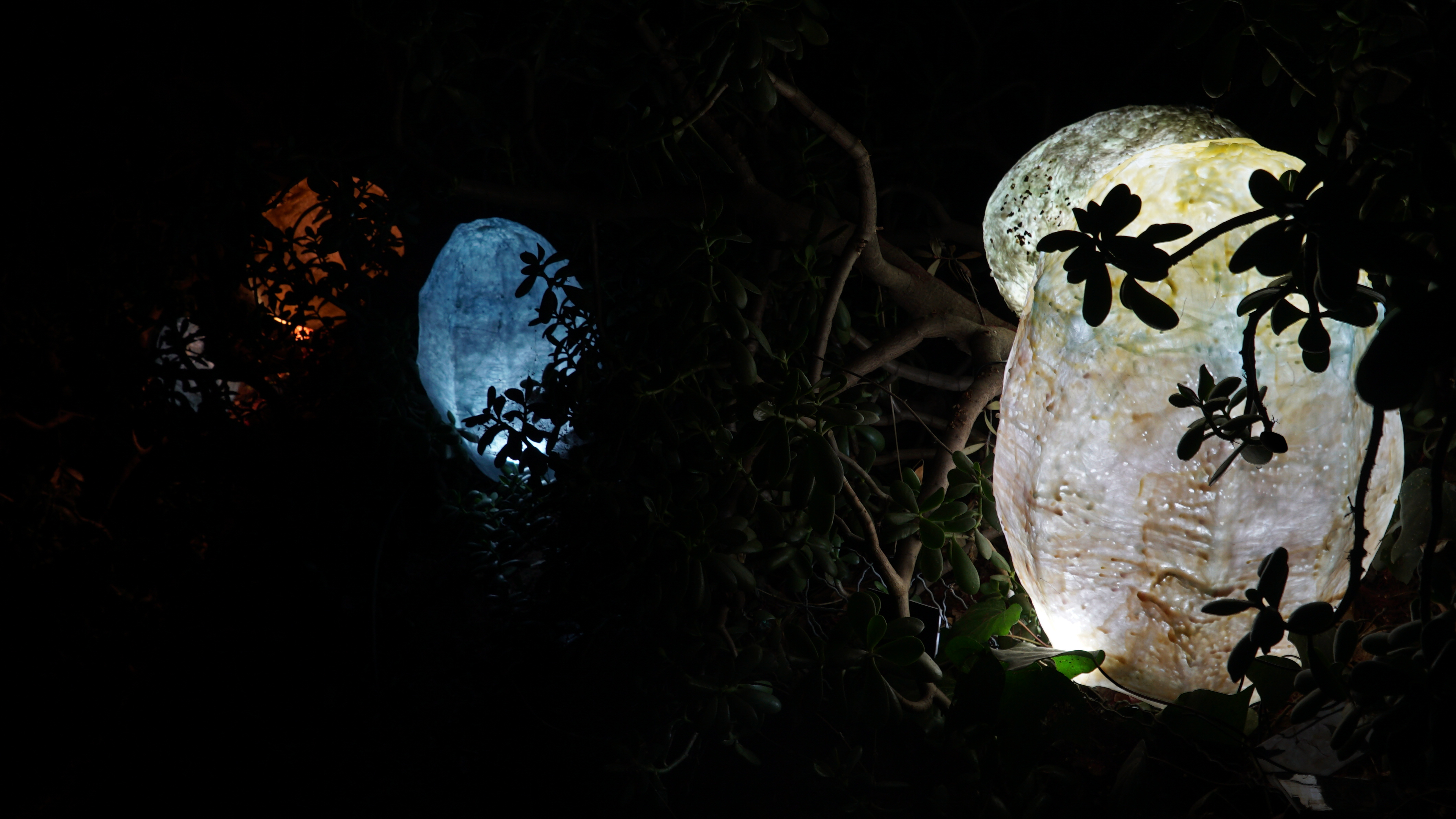 Photograph with mostly black background and glowing organic shapes in different colours