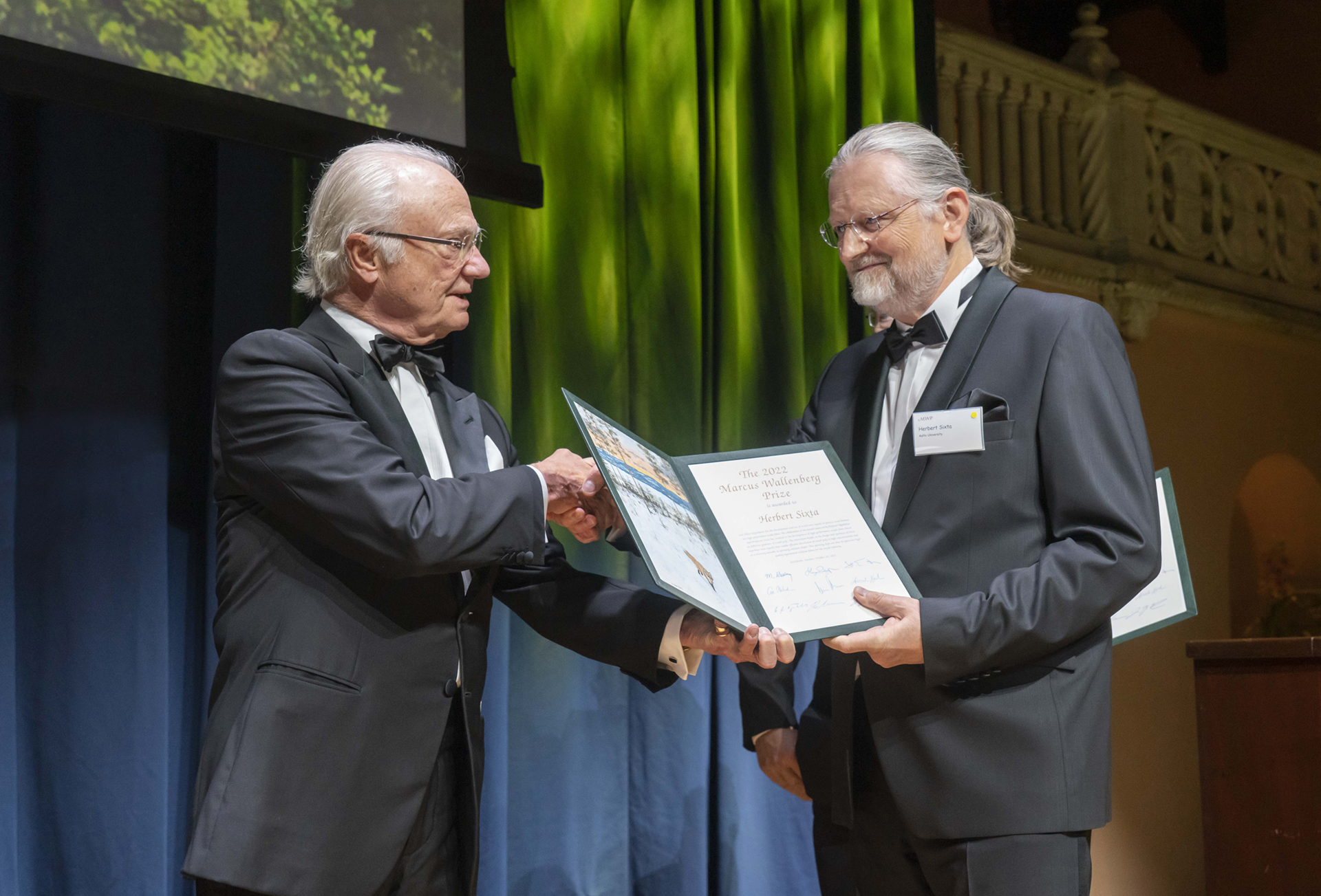 The King presents the award