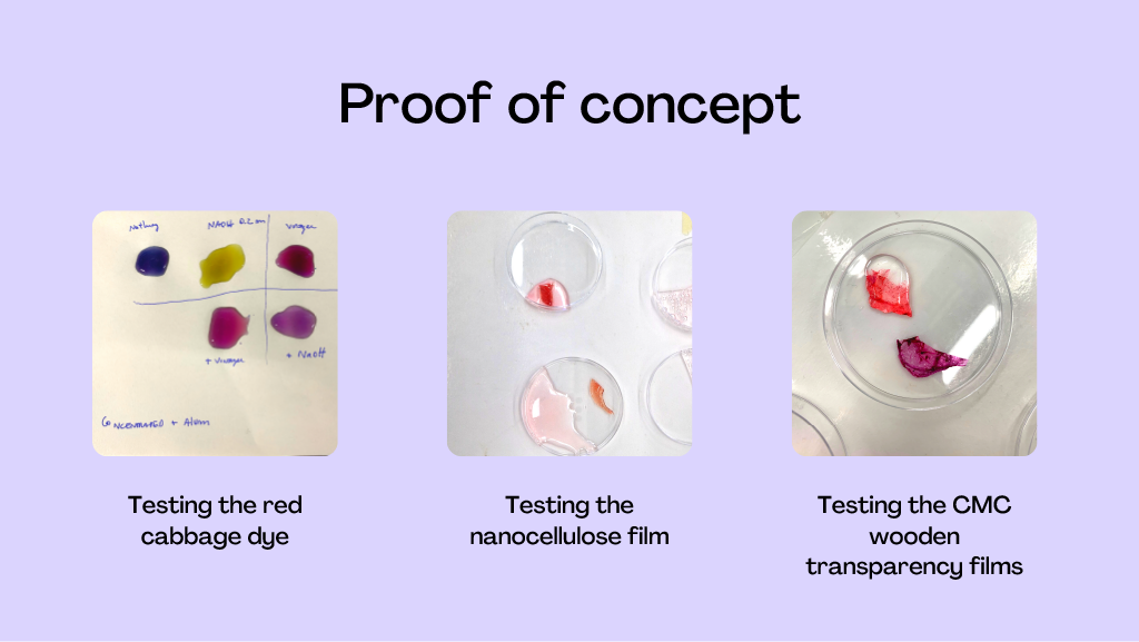 50 shades of red cabbage, CHEMARTS 2022. Image by Aalto University, Sofia Guridi, Matteo Iannacchero, Patricia Ciobanu