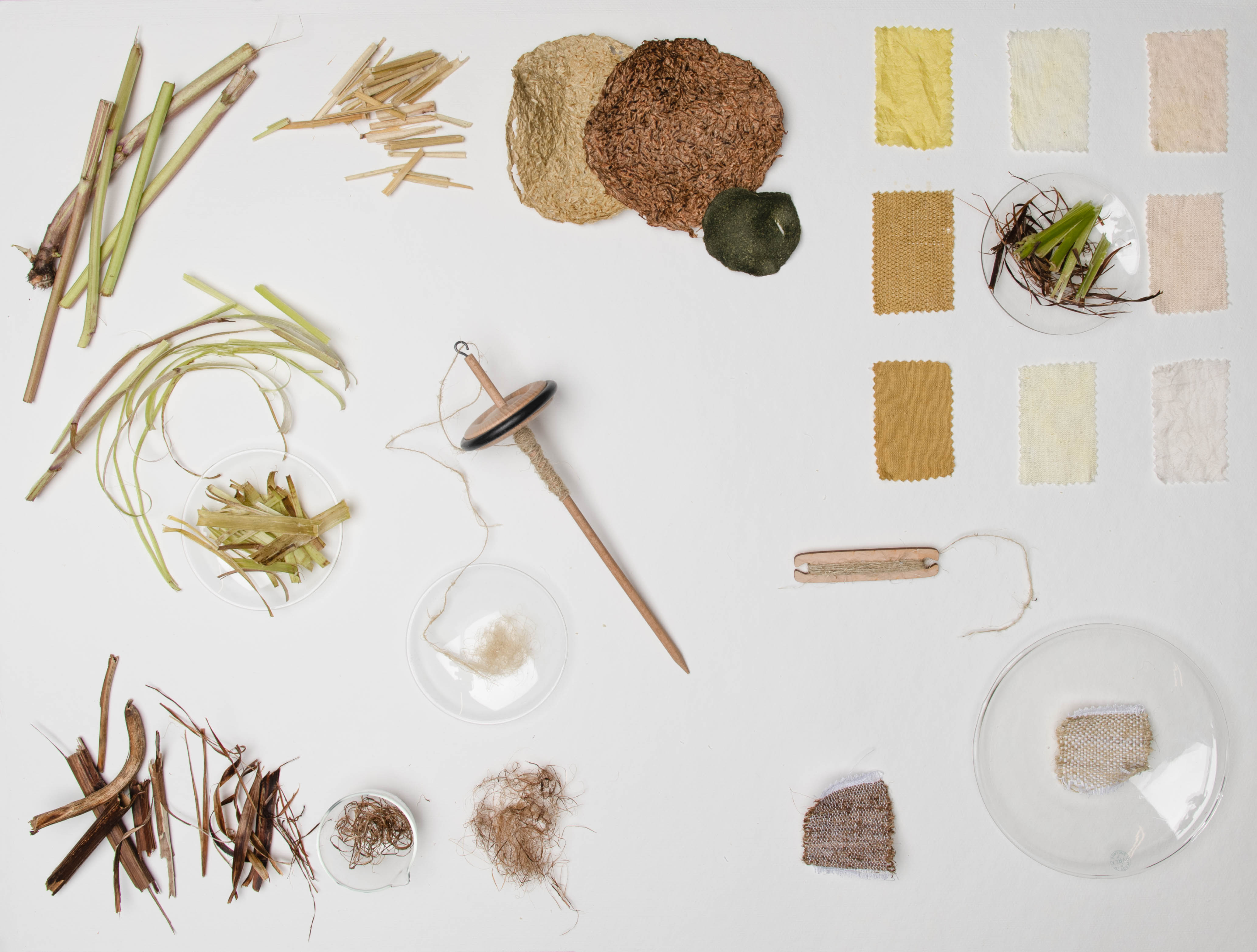 Lupine project, CHEMARTS 2022. Photo by Aalto University, Rainer Paananen
