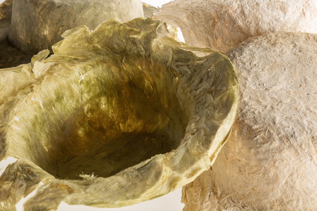 Nina Riutta's algae artwork. Photo: Esa Kapila