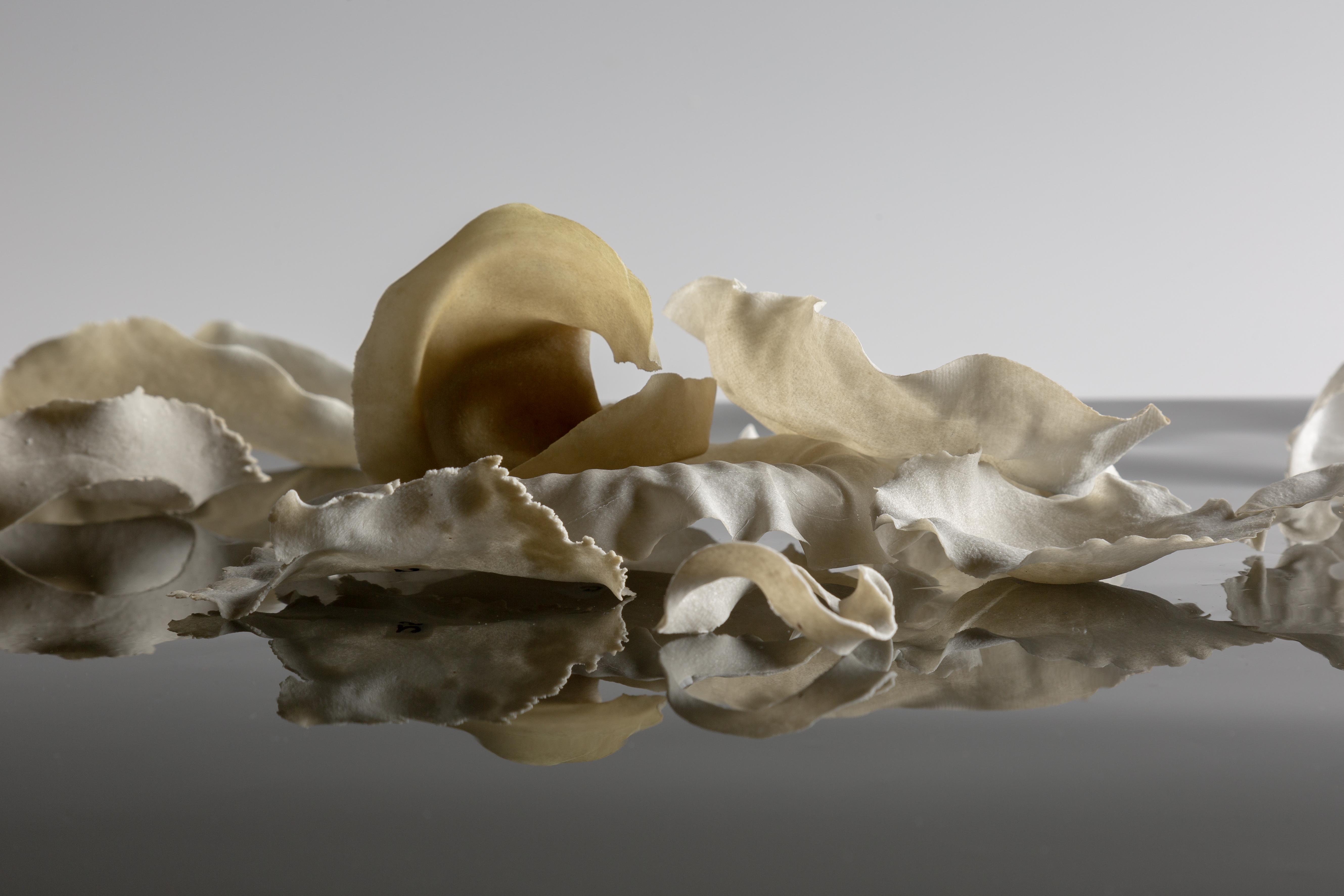 Tiina Otala's Chemarts2023 work on Wheat Straws. Photo Esa Kapila