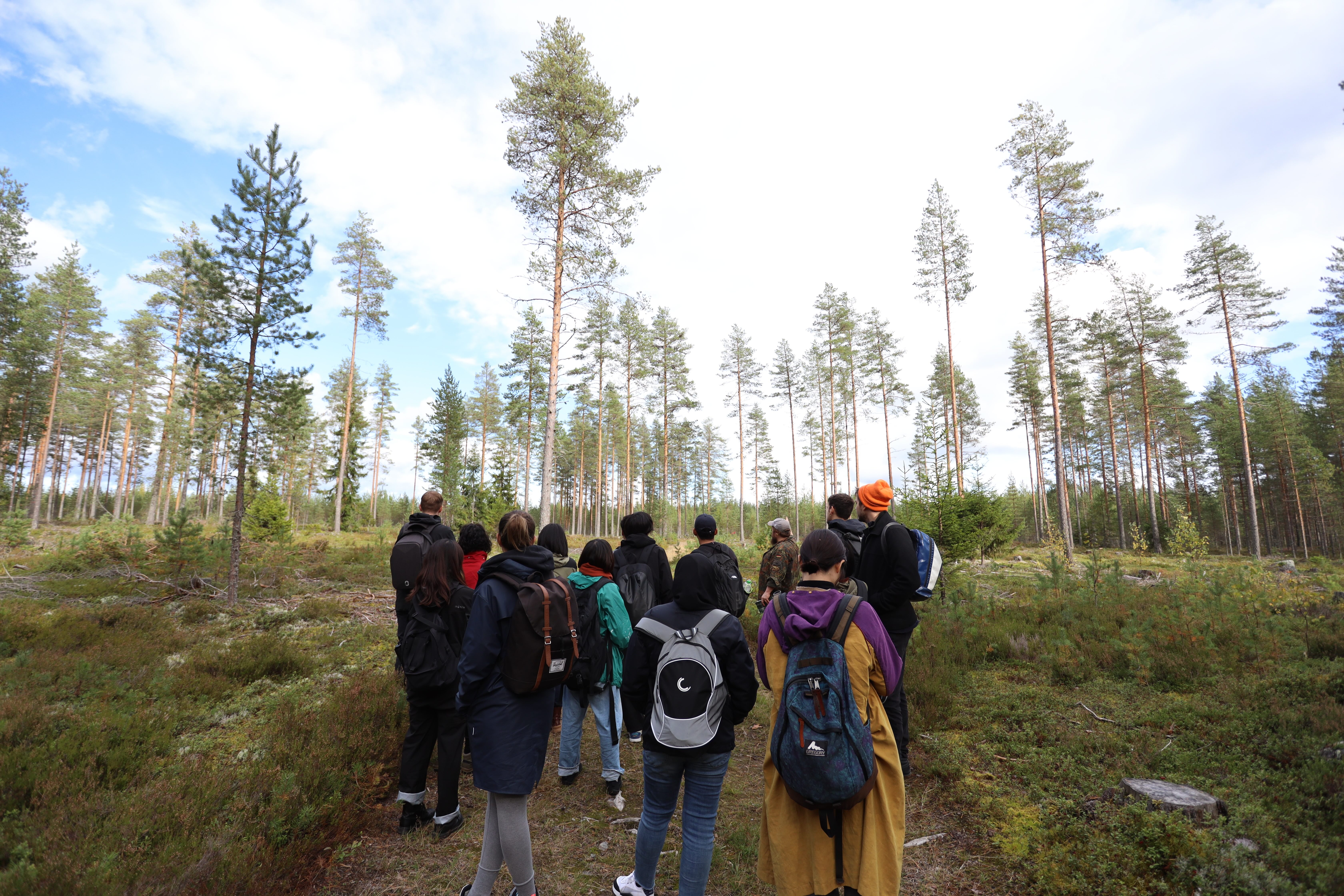 Walking in the forest