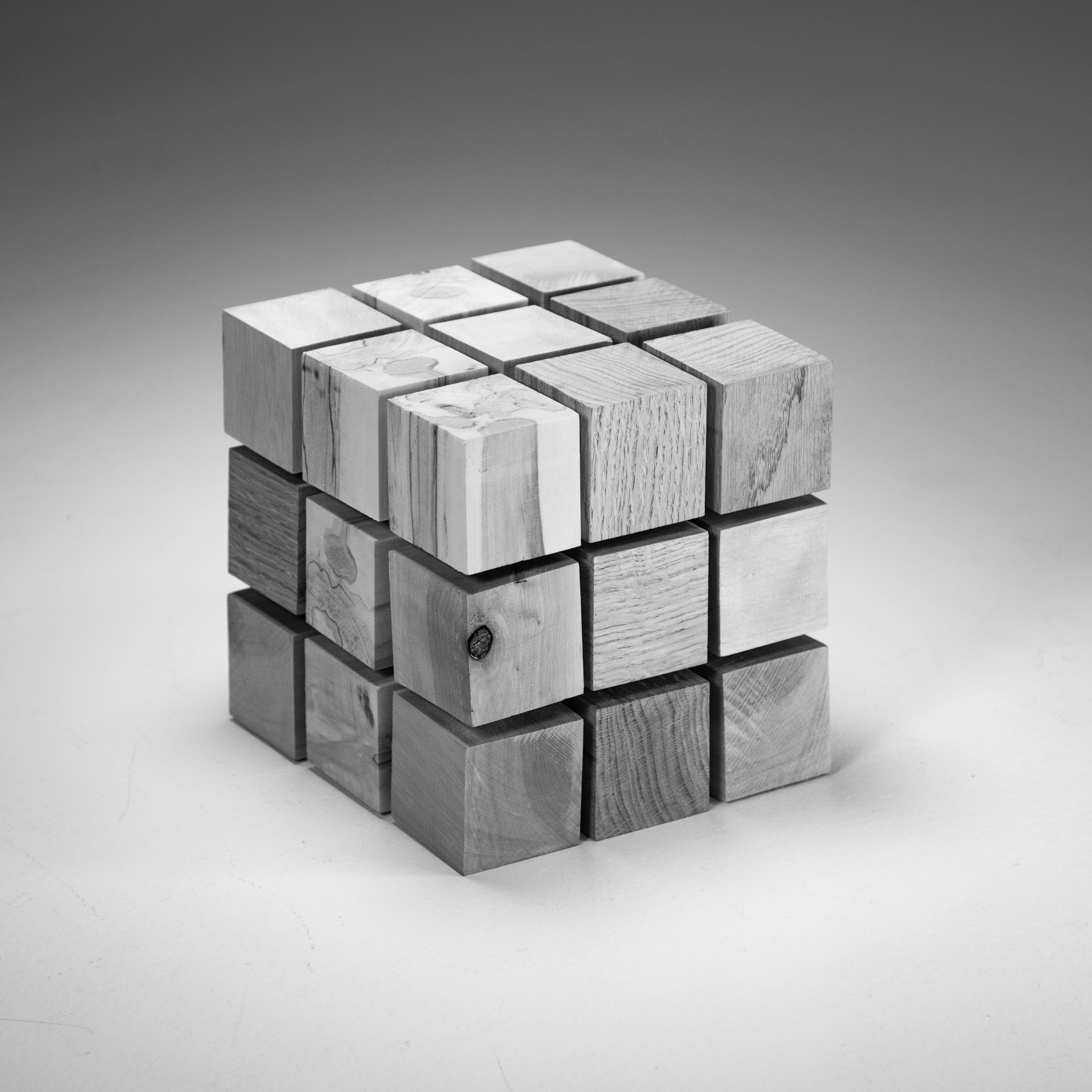 cube consisting of 3 by 3 by 3 smaller cubes of different species