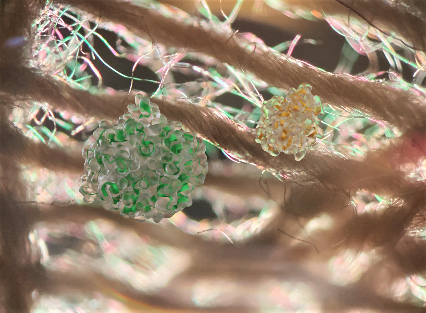 Illustration of two different enzymes hydrolyzing fibers in textile