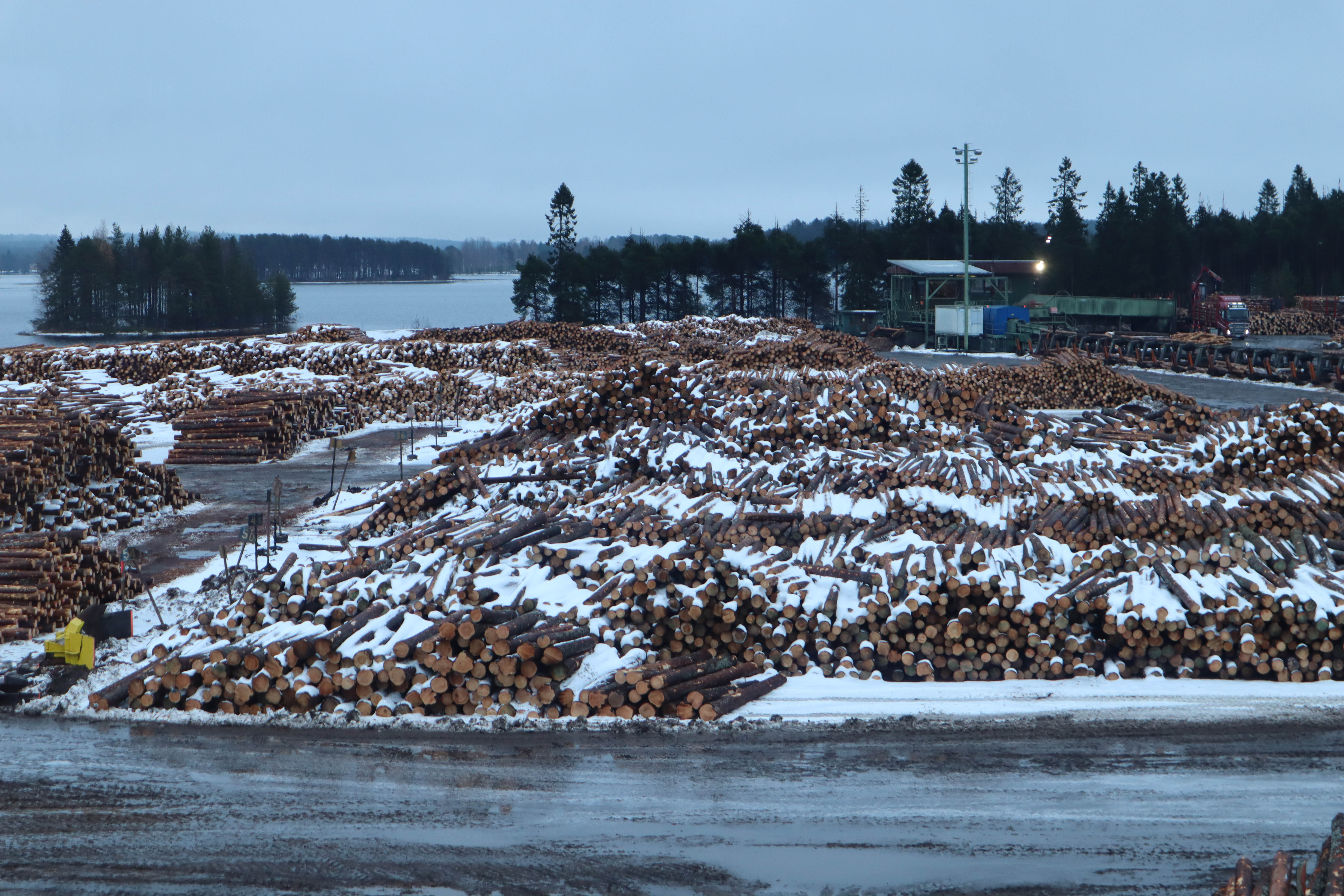 Logs in the yard of Kuhmo Oy