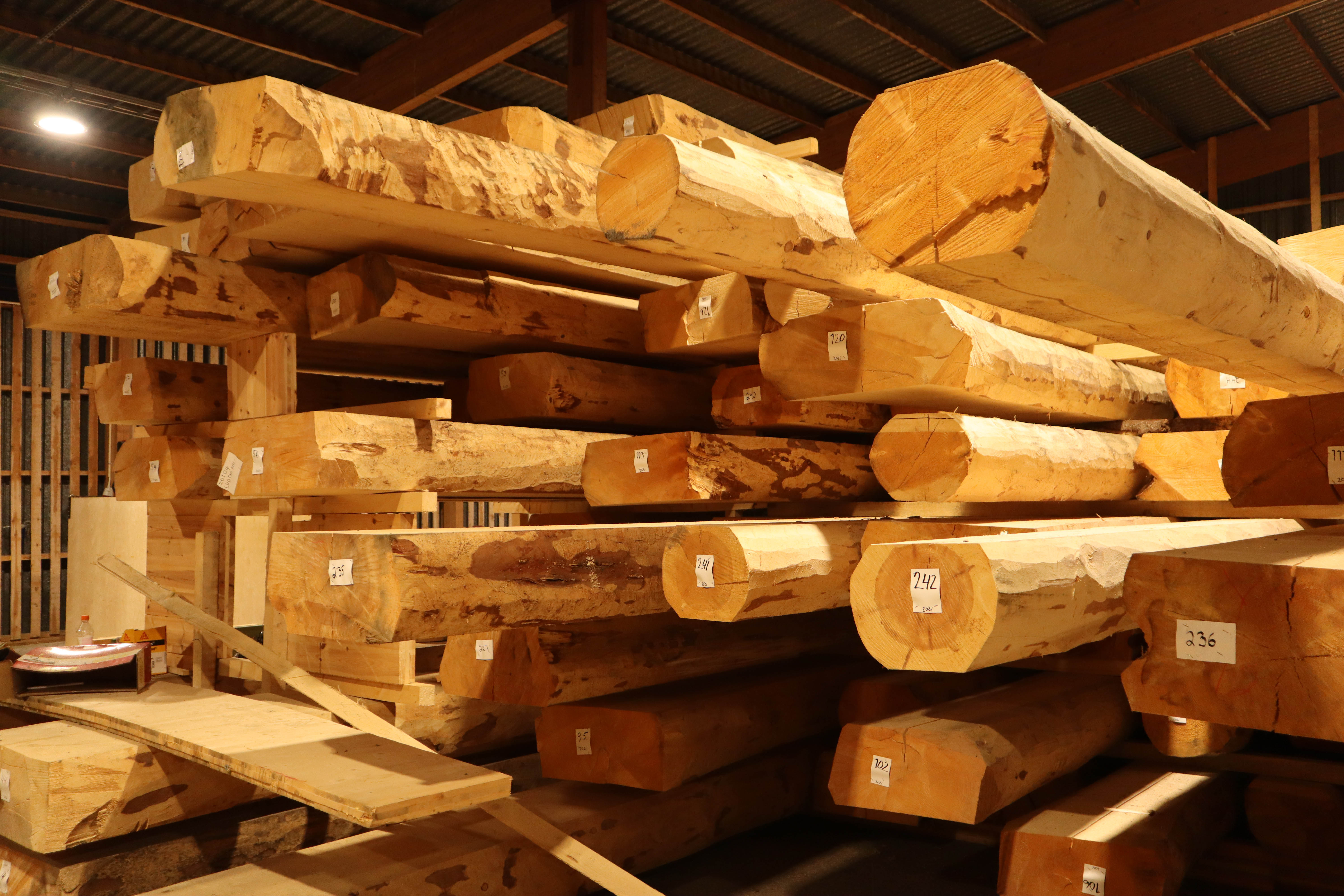 A pile of thick logs in the storage warehouse of Luottopuu