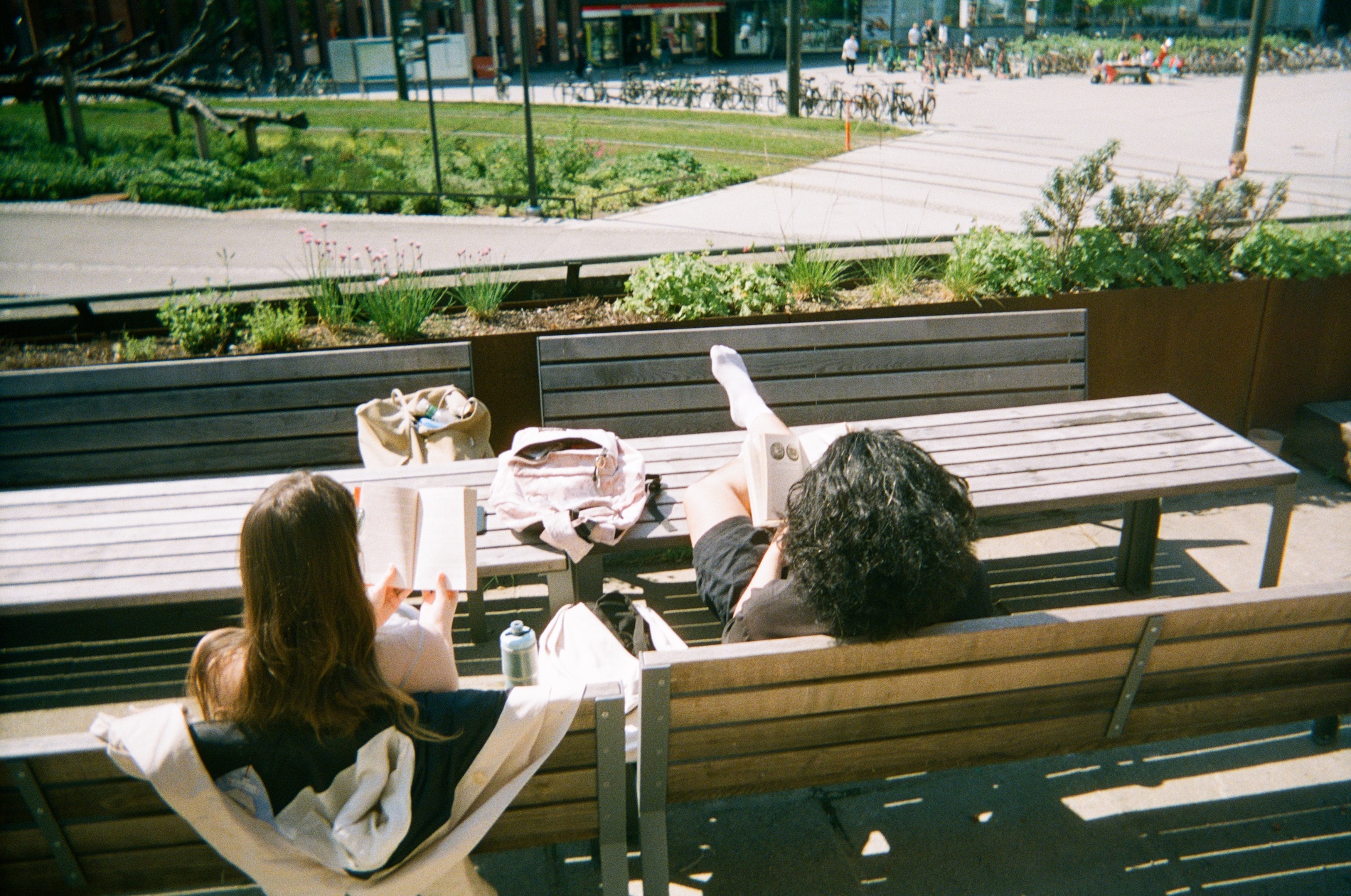 Two people are sitting on wooden benches outside, reading books. There is a grassy area and a bike park in the background.