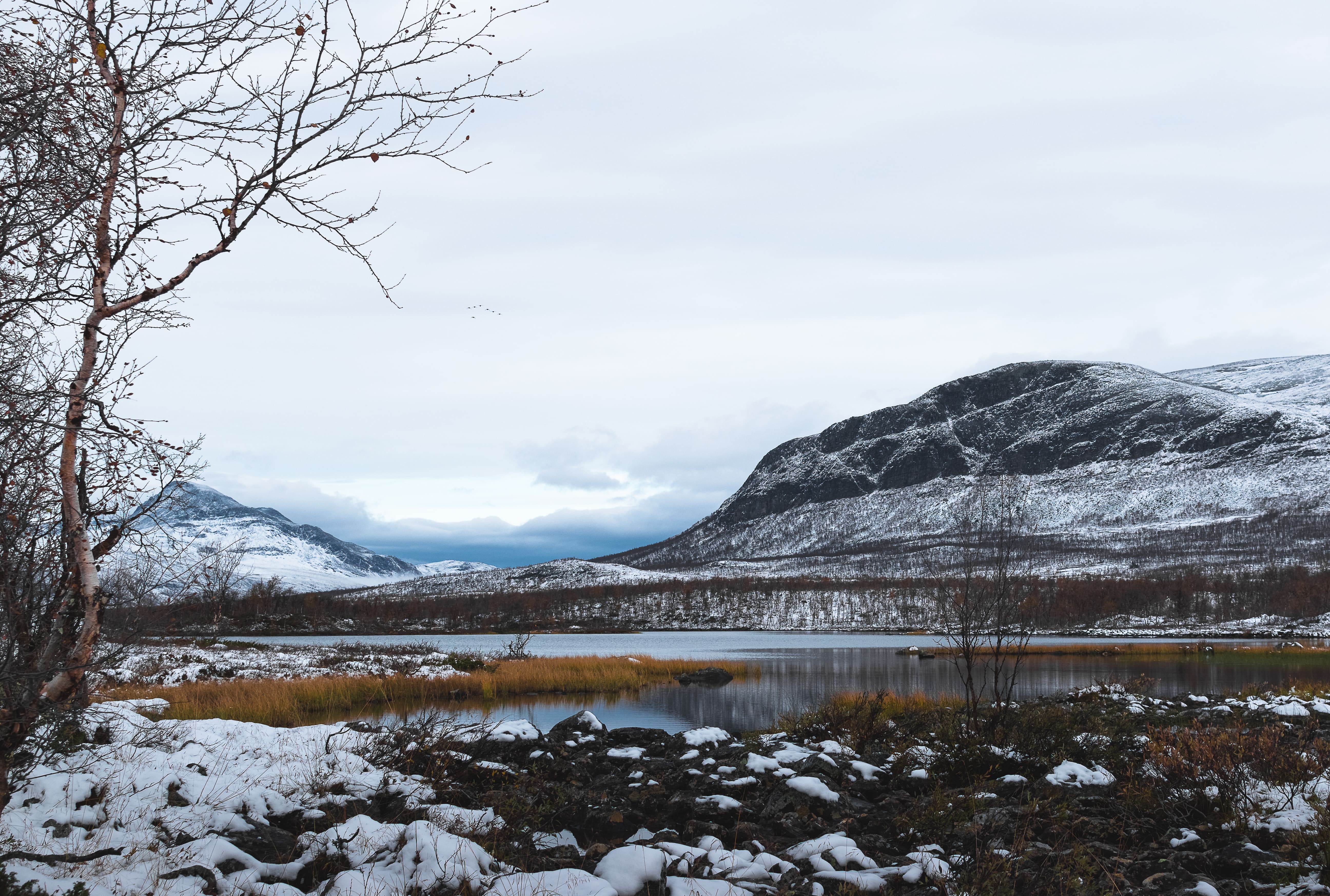 Lapland image 