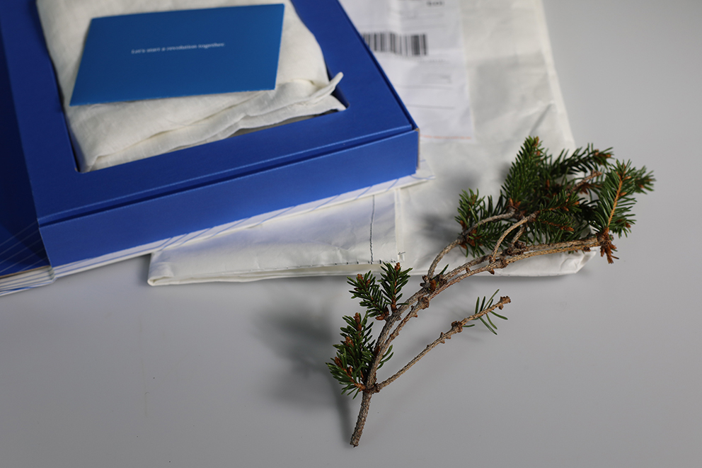A blue box with a white cloth and card, a white envelope, and a small branch with green needles on a grey surface.
