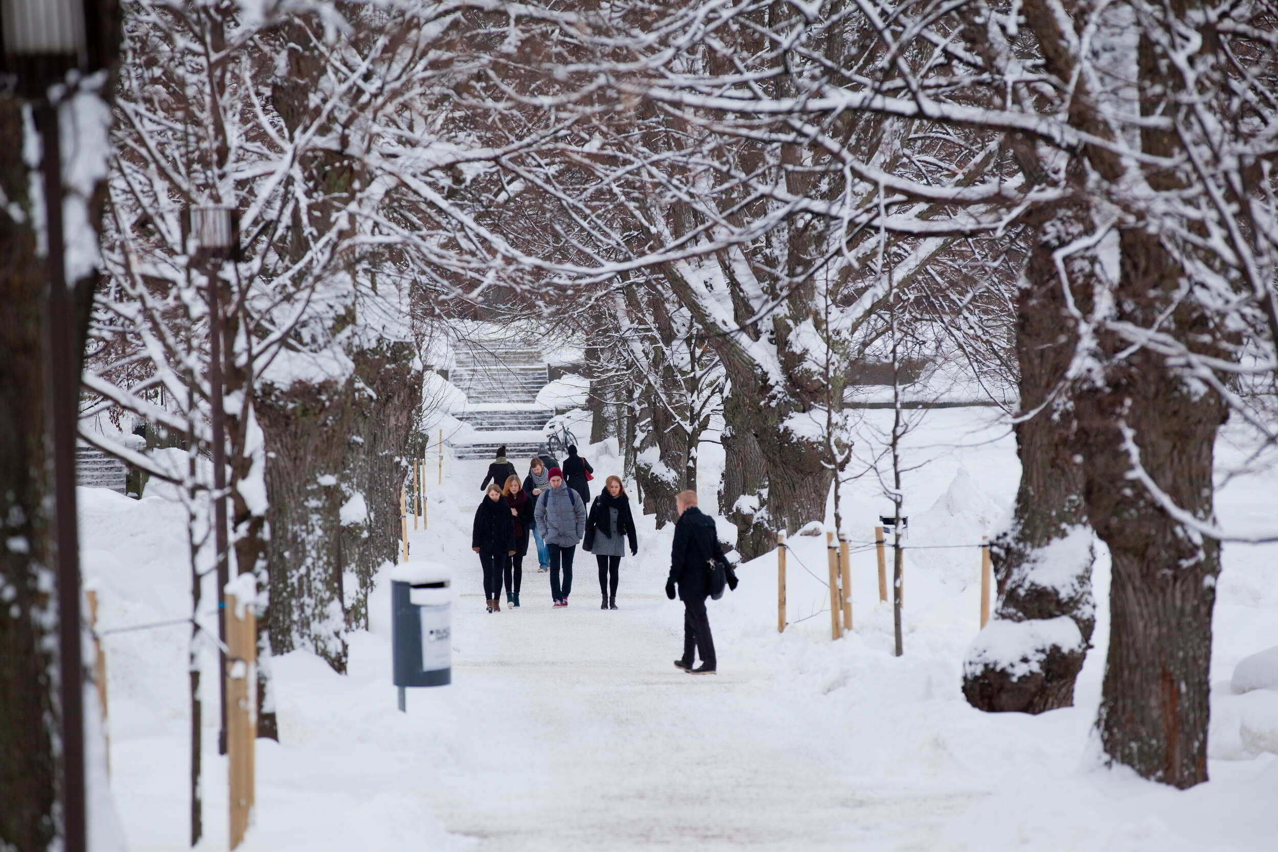 Winter scenery from Otaniemi campus