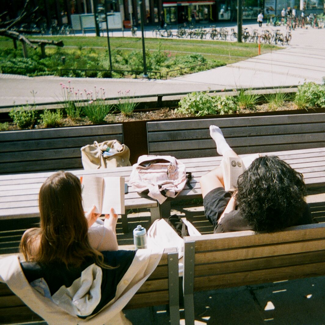 Two people are sitting on wooden benches outside, reading books. There is a grassy area and a bike park in the background.