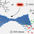 dox release from dna nanostructure aalto university