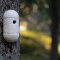 a birdhouse made of mycelium hanging from a tree