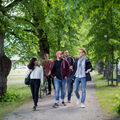 A group of people walking along the linden alley in summer