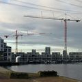 Cranes building houses on the waterfront