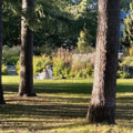 Two people sit on the grass in a park, partially shaded by trees, with colourful flowers and greenery in the background.