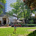 A girl runs on grass in a park with a café, trees, and people in the background. A tall building is visible behind the café.