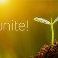 A young green seedling with water droplets in soil. 'unite!' text is written on the yellow-orange background.