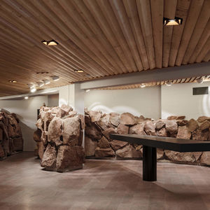 Dipoli_kuva Tuomas Uusheimo