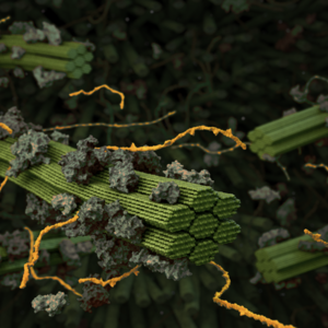 FinnCERES_INTERACT_SummerSchool