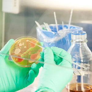 Laboratory work at the School of Chemical Engineering