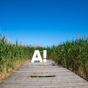 Aalto logo in nature. Photo by Mikko Raskinen.