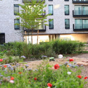 Kerrostalon piha, jossa on kasveja ja kukkia